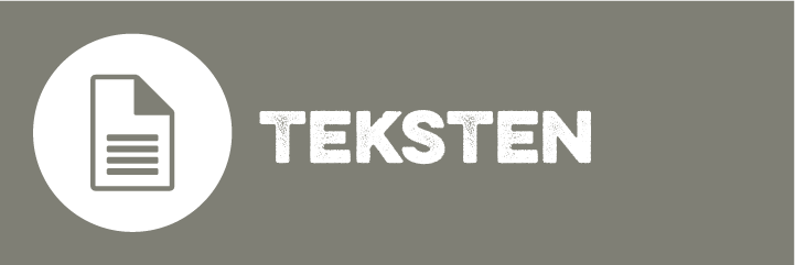 service icons webdesign teksten